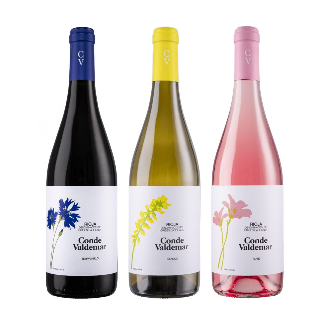 Conde Valdemar Jovenes