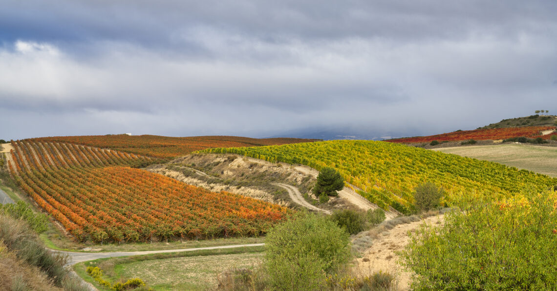 Valdemar recibe la certificacion Wineries for Climate Protection